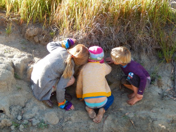 Yabby Creek Adventure, Kids checking out a water dragon's nest, 12 March, 2014