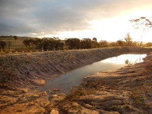 20140828 As full as the dam has been so far. You can see the erosion lines in the foreground and some of the pioneer plants on the far bank