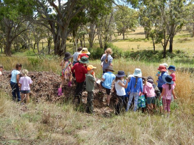 20141209 Minibeasts day with Kentucky School. Kids checking out a swale and what is living there. We had just had rain.