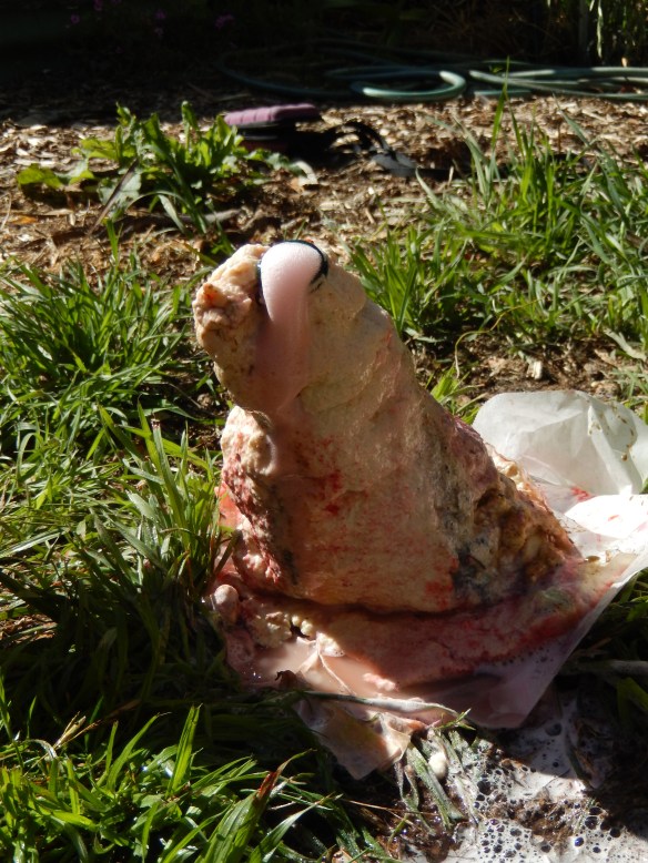 20141217 Volcano experiment: near the end of the volcano's short life, watching the last larva pour out before it became play dough. The experiments with baking soda, vinegar and various other ingredients including dam water, sugar, and just plain baking soda and vinegar continued.