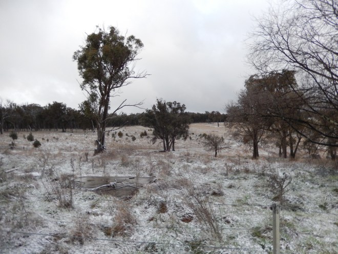 20150712 Snow in Kentucky - snow paddock