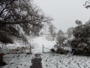 20150713 snow day 2 - view from the front dooe